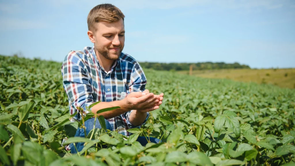 ซอฟต์แวร์การจัดการความปลอดภัย